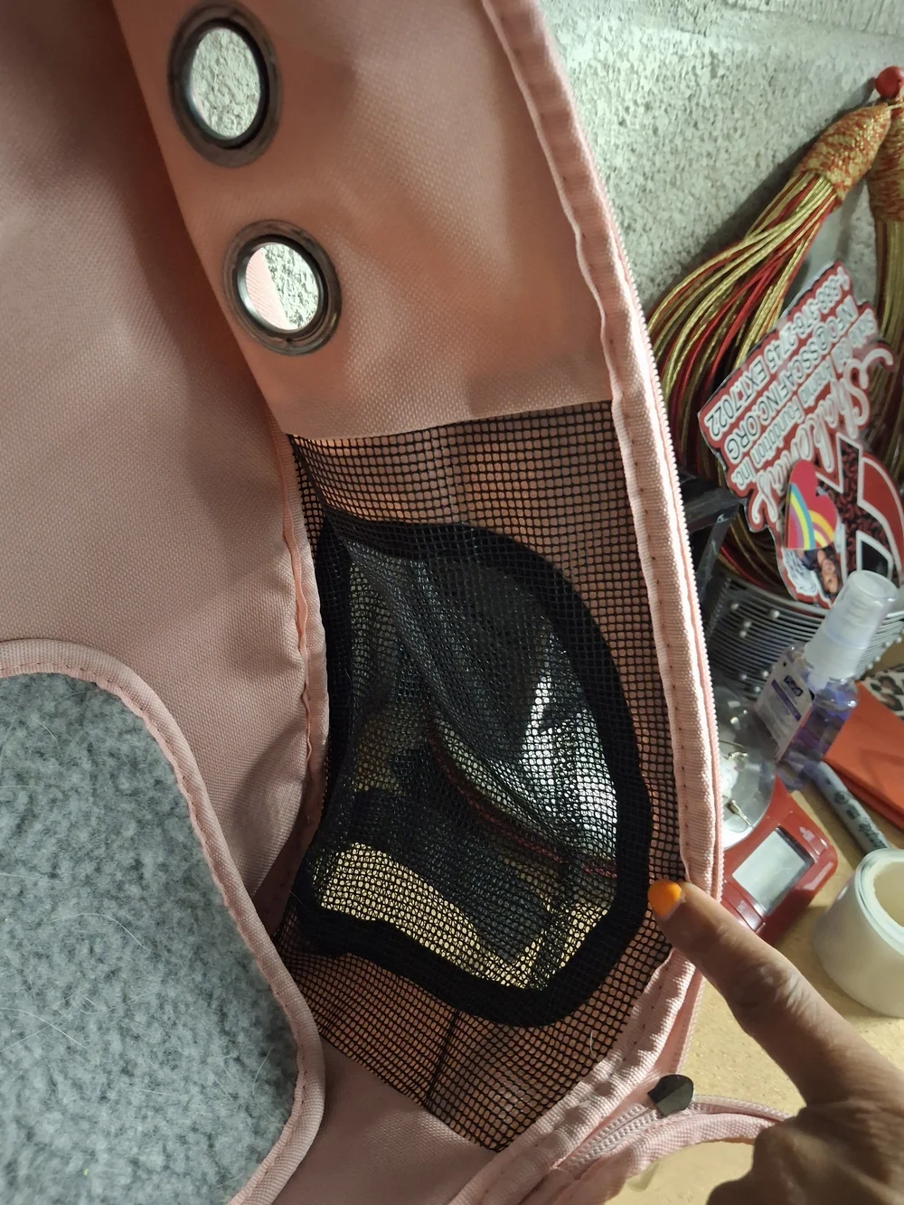 Clear Bubble Pet Carrier Backpack in Blush Pink
